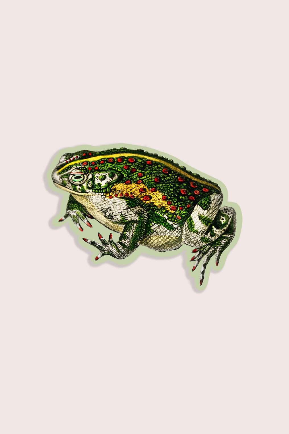 Tricky Toad - Gap Filler Sticker