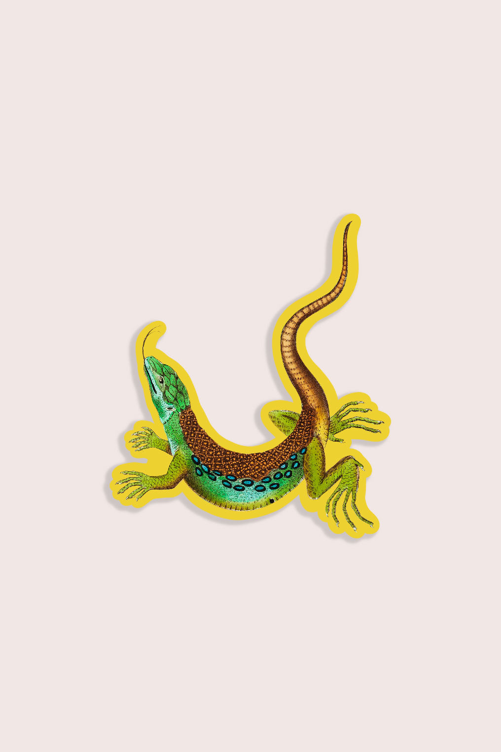 Luscious Lizard - Gap Filler Sticker