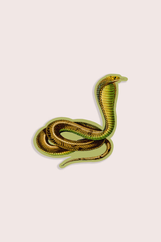 Conceited Cobra - Gap Filler Sticker