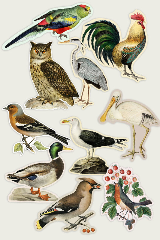 Sticker Bundle: Gap Filler Bird World