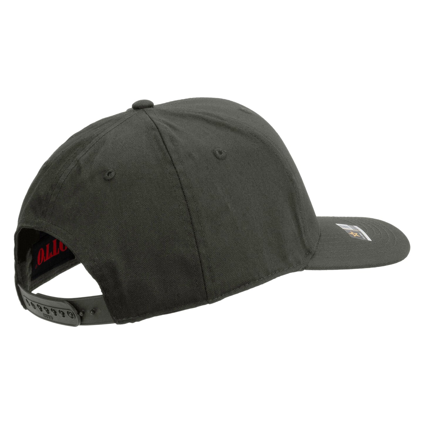 101st Airborne Veteran Embroidered Solid Cotton Twill Pro Style Cap