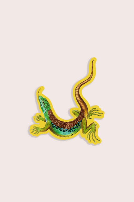 Luscious Lizard - Gap Filler Sticker