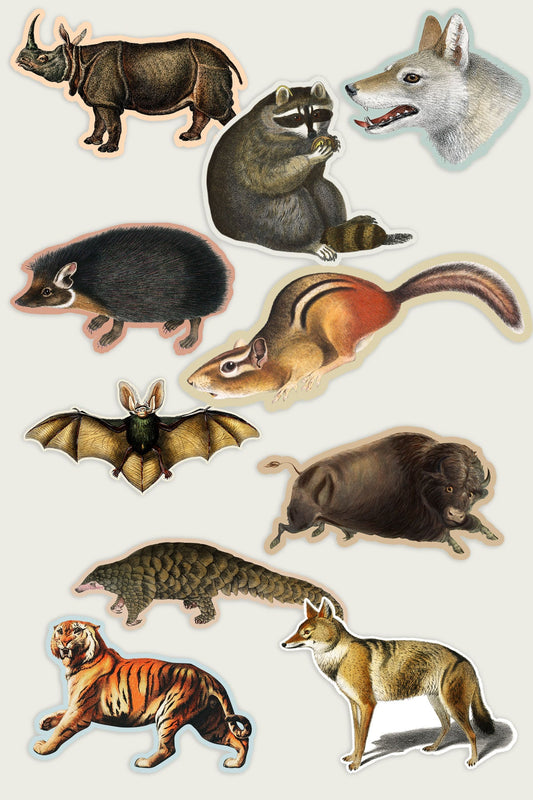 Sticker Bundle: Gap Filler Mammals