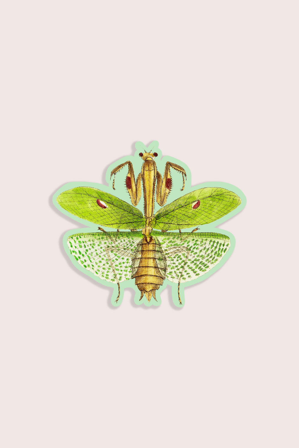 Meditative Mantis - Gap Filler Sticker