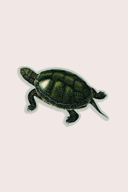 Total Turtle - Gap Filler Sticker